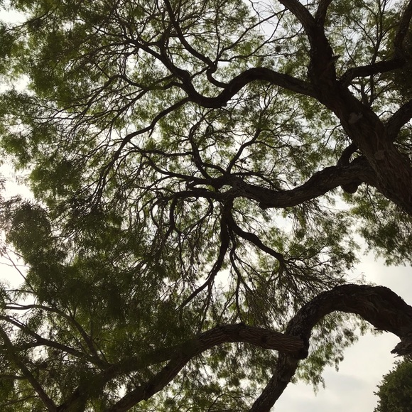 Meet your Posher, Christine - Picture 2 of 4